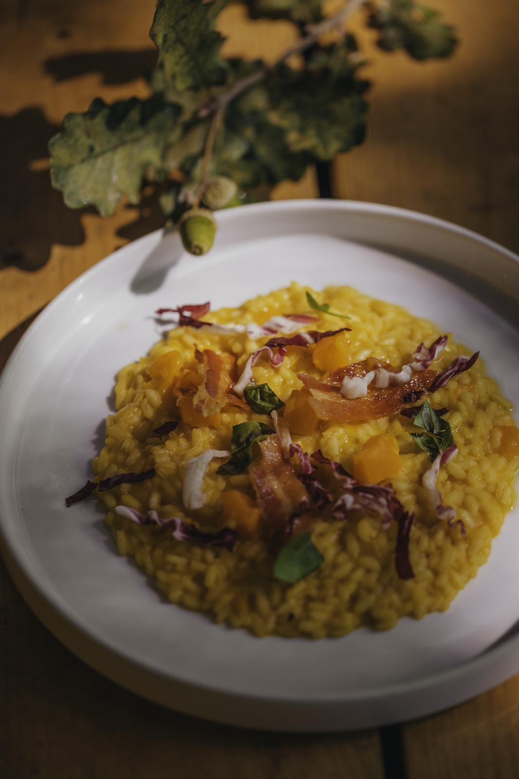 Risotto di stagione con ghianda e foglie di quercia